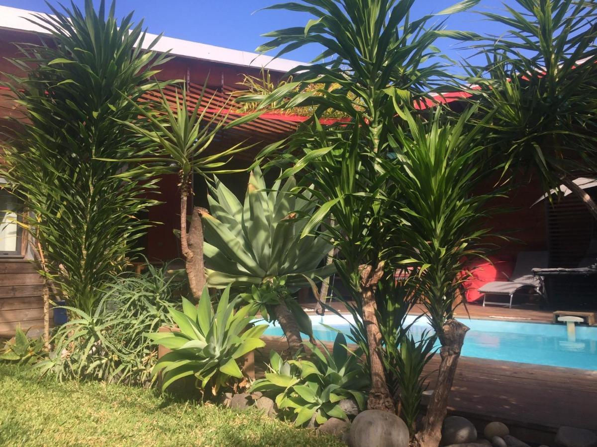 Ti Koin Trankil Belle & Spacieuse Villa Tropicale Saint Pierre Εξωτερικό φωτογραφία